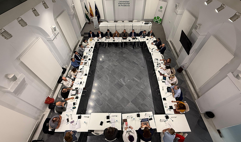 Un momento de la celebración de la Mesa de Negociación de las Universidades Públicas.